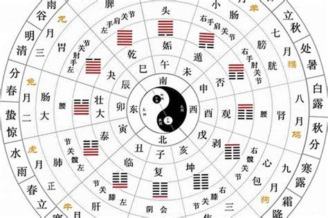 天干 五行|天干地支五行对照表 – 天干地支概念